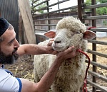 Где в Астрахани можно будет сделать жертвоприношение на Курбан-байрам
