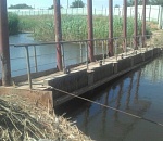 Под Астраханью утонула 12-летняя девочка