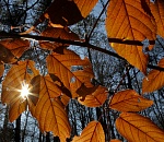 Астраханцев ждет теплый вторник