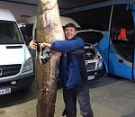 В Астраханской области поймали сома, от которого захватывает дух