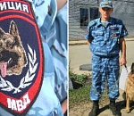 Собака мгновенно помогла астраханским полицейским раскрыть преступление