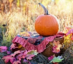 В Астрахани резко похолодало, но будет снова тепло