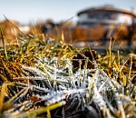 Ночью Астраханскую область ждут настоящие заморозки, зато днем температура опять примется перегонять апрель