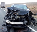 За смерть двоих людей в ДТП ответит астраханский пастух