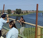 Астраханца 1,5 часа уговаривали не сводить счеты с жизнью