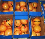 Крупную партию помело, сделанного в Китае, обнаружили астраханские таможенники 