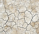 Петр Гужвин: не понимаю, почему президенту не озвучили проблему спасения Волги