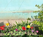 Весна со вкусом песка: какая погода ждет астраханцев в среду