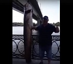 Под Новым мостом в Астрахани поймали огромную рыбу