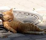 В Астрахань идет майская "супержара"