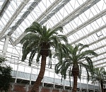 В КРК "Октябрь" завершился первый этап ремонта