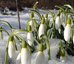 Астраханская погода в марте