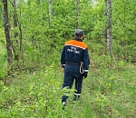 Под Астраханью пропали два жителя Пензы