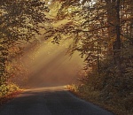 Завтра погода порадует астраханцев туманом и теплом