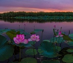 Астрахань нравится туристам больше, чем море