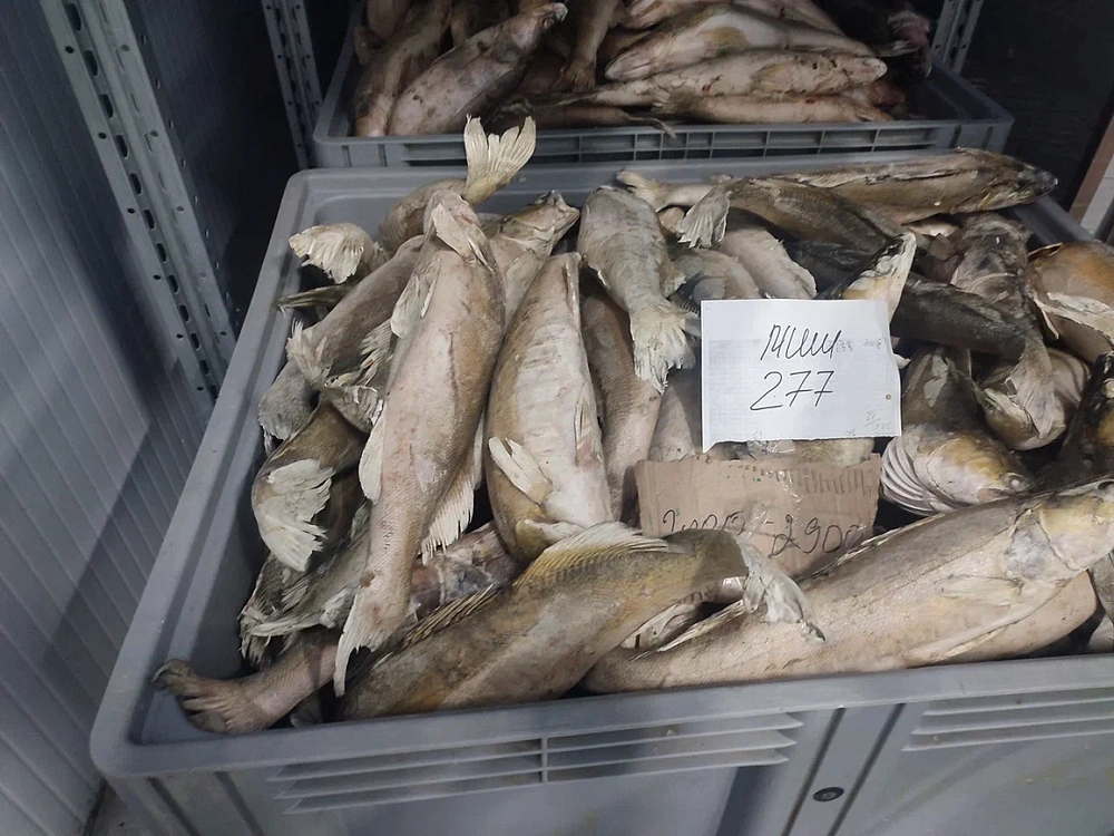 Директор астраханской рыбной компании незаконно пытался  продать товар в Евросоюз