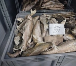 Директор астраханской рыбной компании незаконно пытался  продать товар в Евросоюз