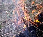 В Астраханской области преобладает пожароопасность пятого класса