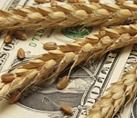 Минсельхоз РФ предлагает снизить нагрузку на регионы при софинансировании господдержки АПК