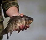 В Астраханской области начинает действовать нерестовый запрет на рыбалку