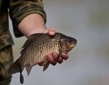 В Астраханской области начинает действовать нерестовый запрет на рыбалку