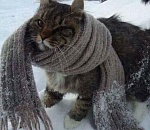 Астраханцам обещают мокрый снег, гололед и холодные ночи