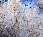 Завтра в Астраханской области мороз вновь устроит экстрим, ночью загнав температуру под -27° 