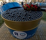 Фальсификат? Астраханскую черную икру разоблачили