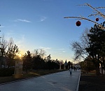 В пятницу столбик термометра в Астраханской области покажет -15°