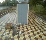 В Астрахани вандалы добрались до очередного памятника