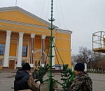 Новогодние елки начали устанавливать в Астраханской области