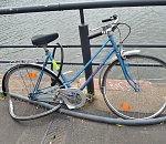 Внимание. Розыск