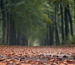 Как погода удивит астраханцев завтра