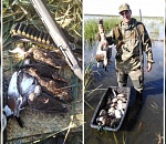 Сезон охоты начался: астраханцы делятся фотографиями трофеев