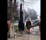 Стало известно, что за монстра извлекли из астраханской канализации