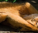 В Астрахани жара начинает наращивать темпы