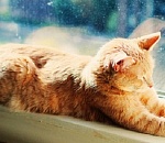 Во вторник астраханцам обещают очень теплый денек