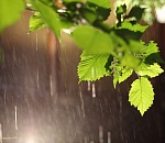 В пятницу астраханцам обещают дождь и грозу, но не везде