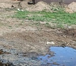 Ахтубинскому предприятию вменяют 1,5 миллиона за вред природе