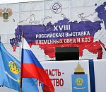 Всероссийская выставка овец впервые прошла в Астраханской области