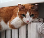 В Астрахани готовятся к отопительному сезону