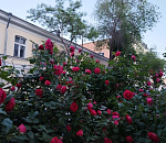 Ясное и теплое воскресенье ждет астраханцев