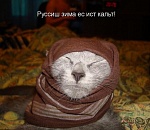 Письмо в редакцию от замерзающего читателя...