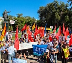 Полторы тысячи астраханцев выразили недоверие президенту и правительству 