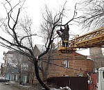 Ветер повалил в Астрахани 90 деревьев, сломал 32 светофора, обесточил объекты Астрводоканала