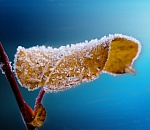 Внимание! Астрахань ждет аномальное похолодание