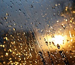 Синоптики снова прогнозируют дождь