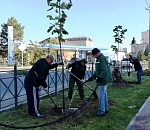 До конца осени в Астрахани высадят 3 000 деревьев