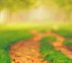 Теплые солнечные деньки не покидают Астрахань