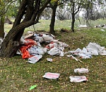 Ассадулаевский лес под Астраханью превратили в свалку строительных отходов